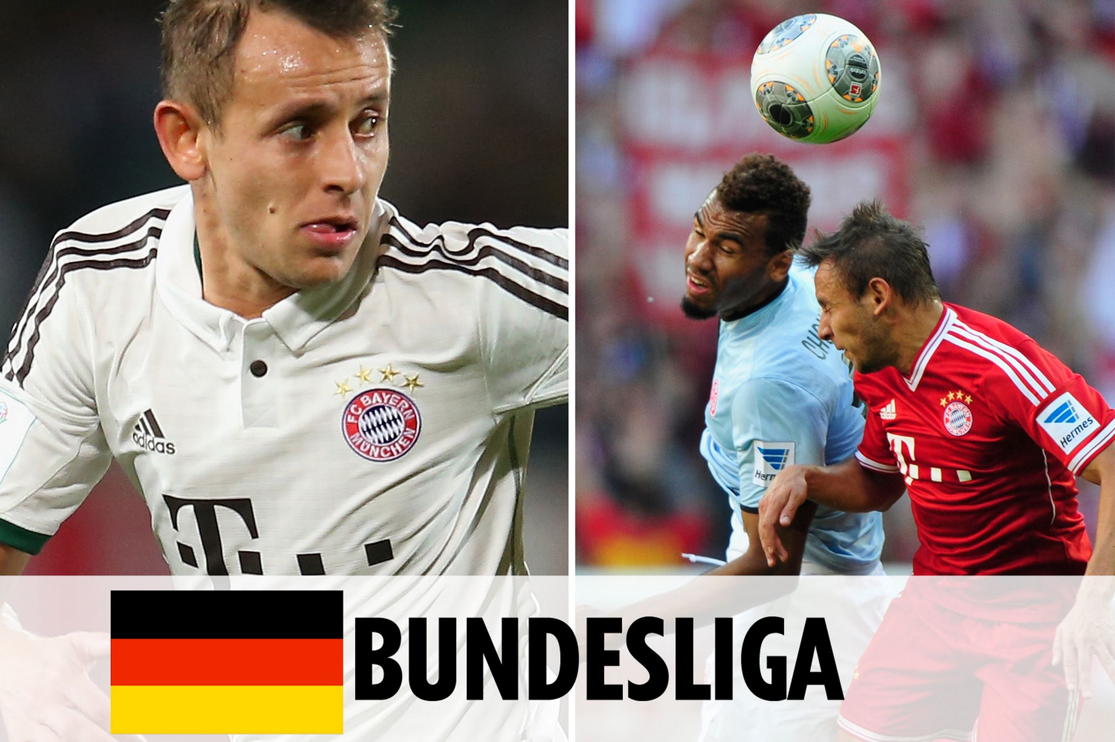 他不仅能在 他不仅能在