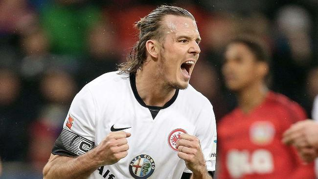 国王能够在 国王能够在