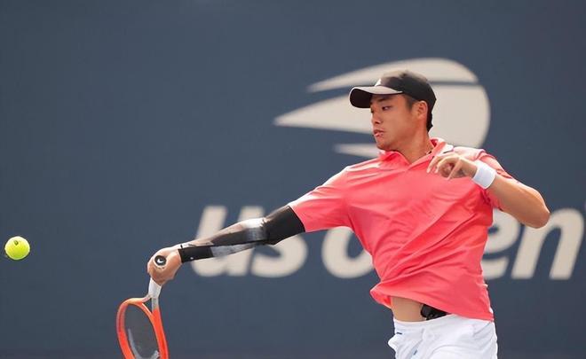 他提供了无 他提供了无