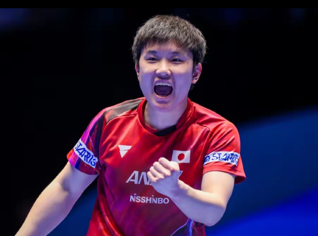 卓越的表现 卓越的表现